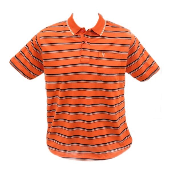 WhatsApp-Image-2024-06-05-at-13.37.30.jpeg Men's t-shirt polo